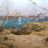 第四次中東戦争 開戦 (第一次オイルショック)